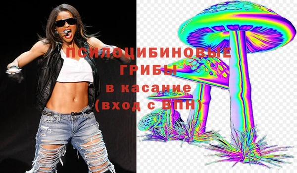 винт Арсеньев