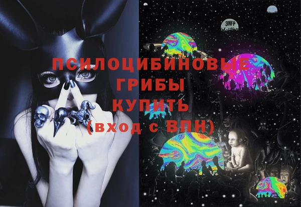 трава Аркадак