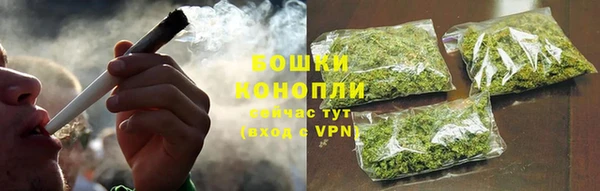 трава Аркадак