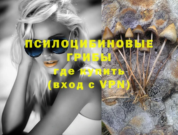 трава Аркадак