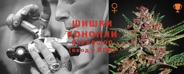 винт Арсеньев