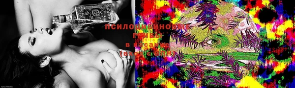 винт Арсеньев