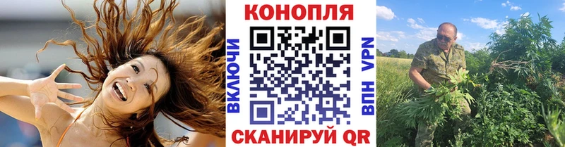 Марихуана конопля  продажа наркотиков  Правдинск 